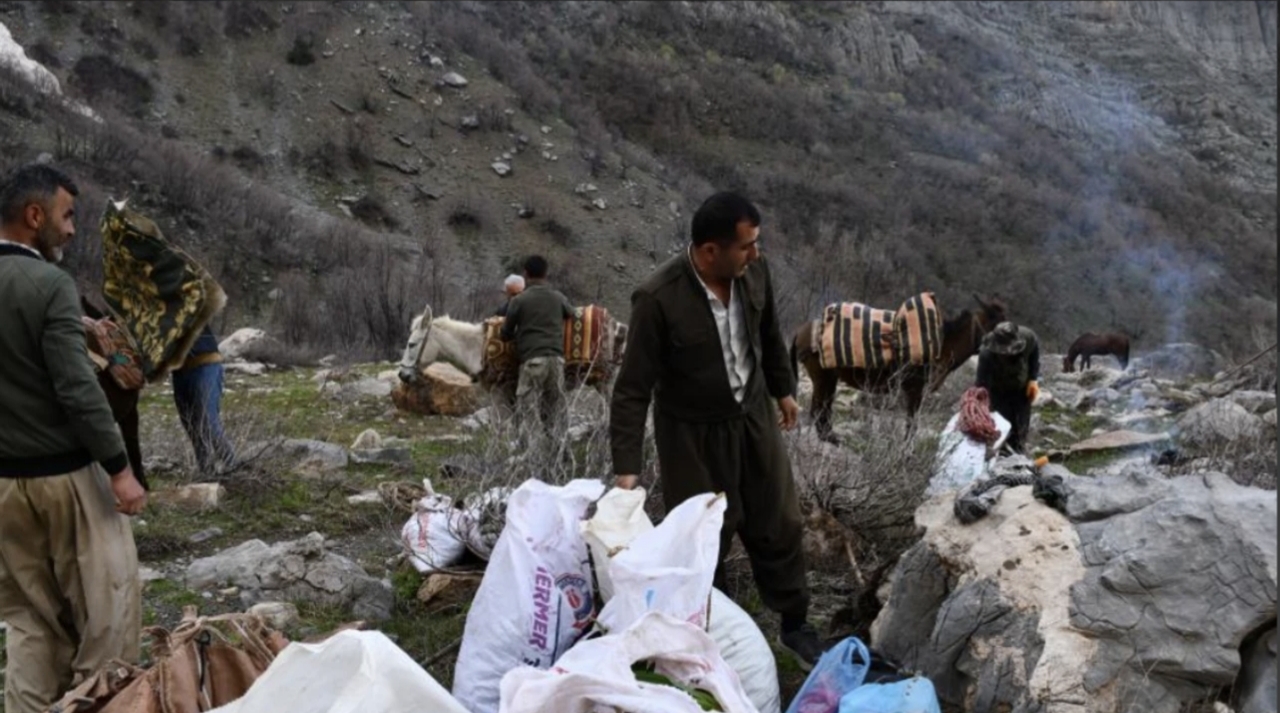 Şırnak'ta Pancar Toplama Sezonu Başladı