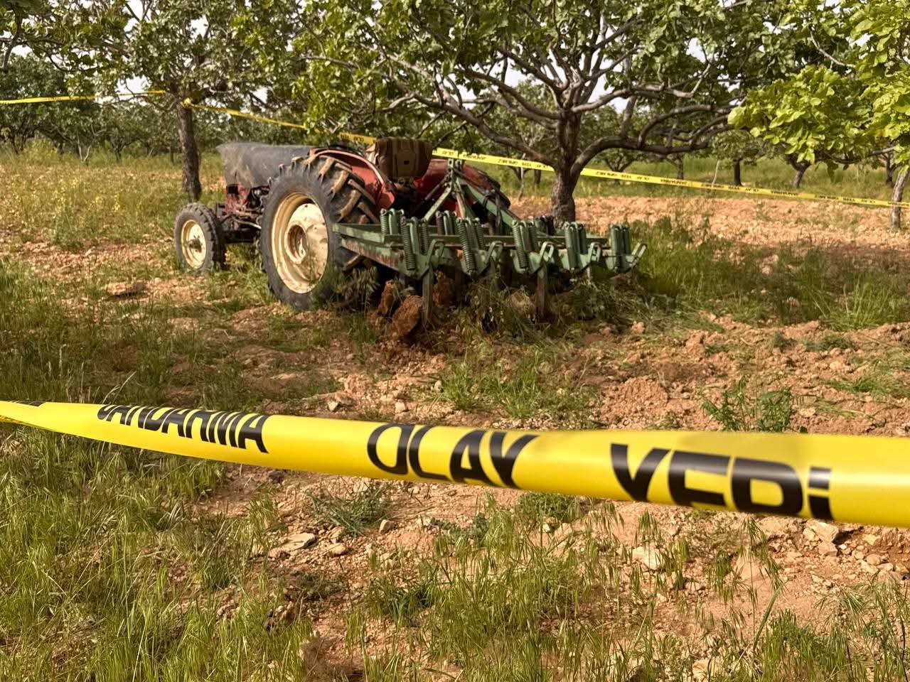 Suruç'ta Çiftçi Traktörüyle Bahçe Sürerken Ölü Bulundu