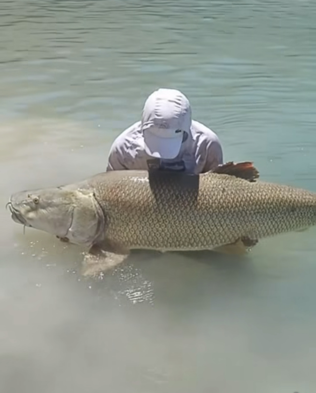 Fırat Nehri'nde 60 Kilogramlık Dev Turna