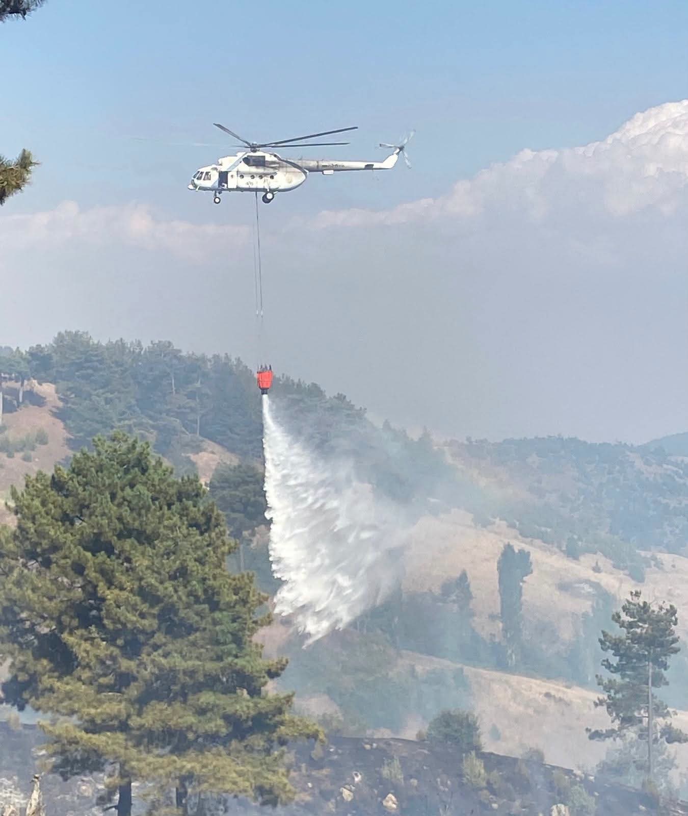 Kahramanmaraş Onikişubat İlçesinde Orman Yangını