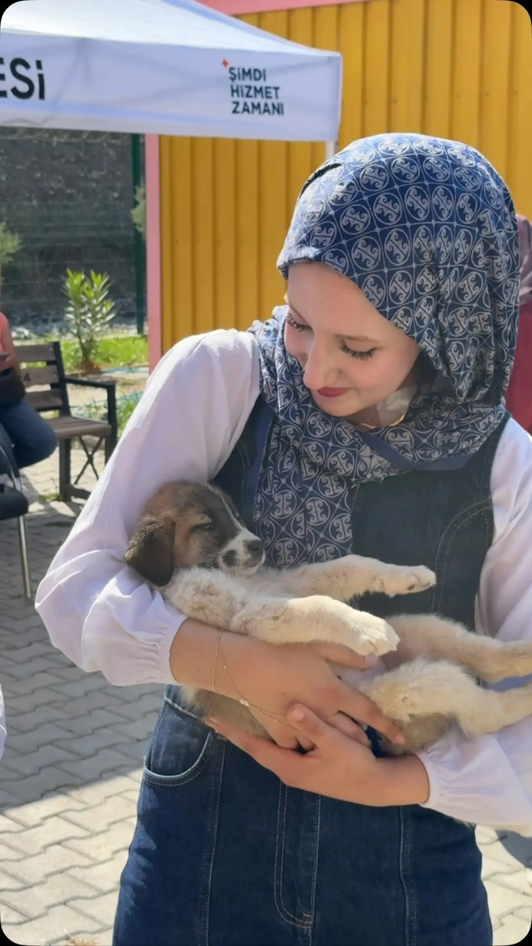 Kahta Belediyesi: Sokak Hayvanlarına Sevgiyle ve Birlikte Sahip Çıkıyoruz