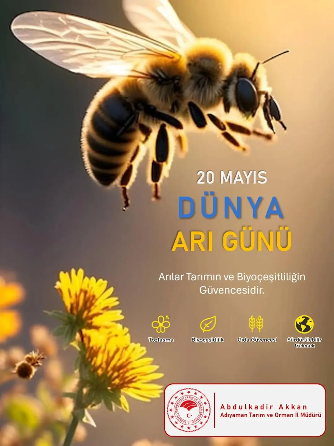 20 Mayıs Dünya Arı Günü: Arılar Tarımın ve Biyoçeşitliliğin Güvencesidir