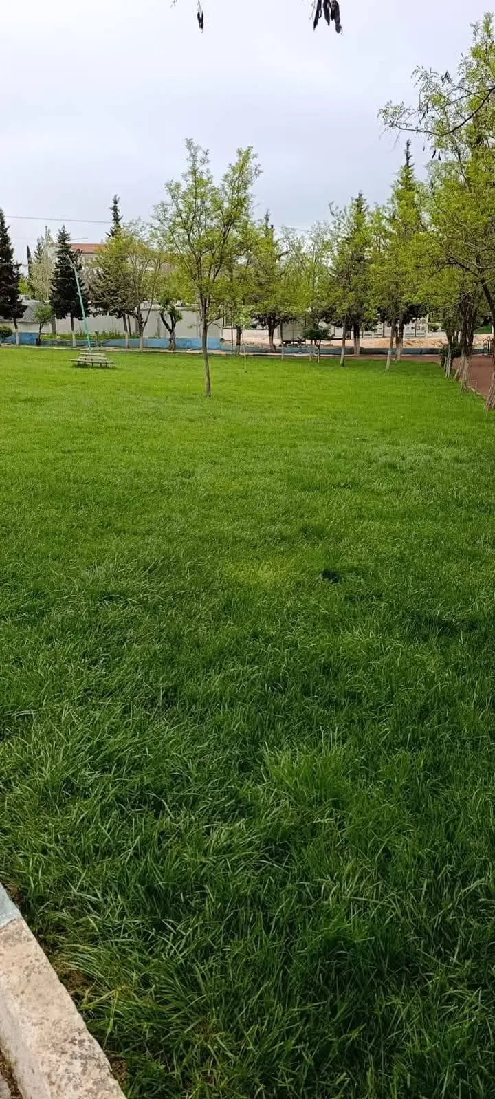 Besni Belediyesi'nin Temizlik ve Yeşil Alan Çalışmaları