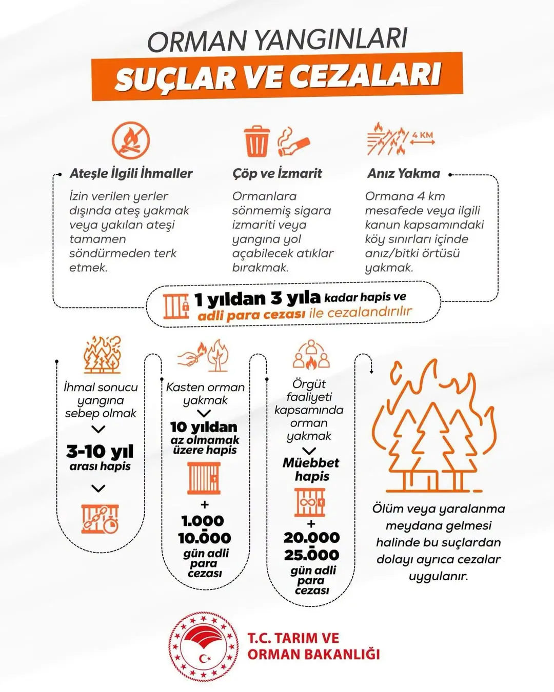 Orman Yangınlarına Karşı Bilinçli Olalım