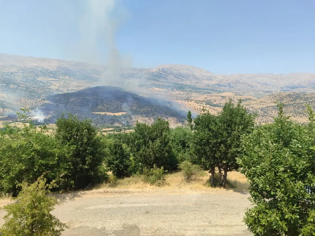 Gerger ilçesindeki Yangın Kontrol Altına Alındı