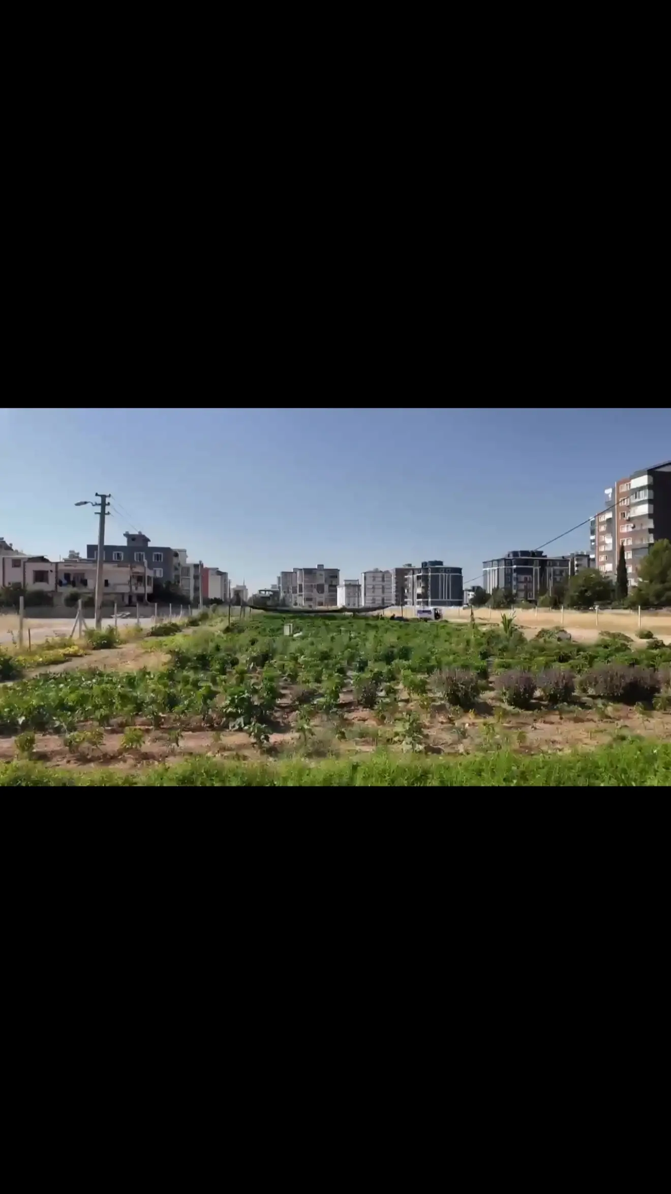 Adıyaman Belediyesi Yaz Hasadı Ürünlerini Uygun Fiyatla Vatandaşlarla Buluşturuyor