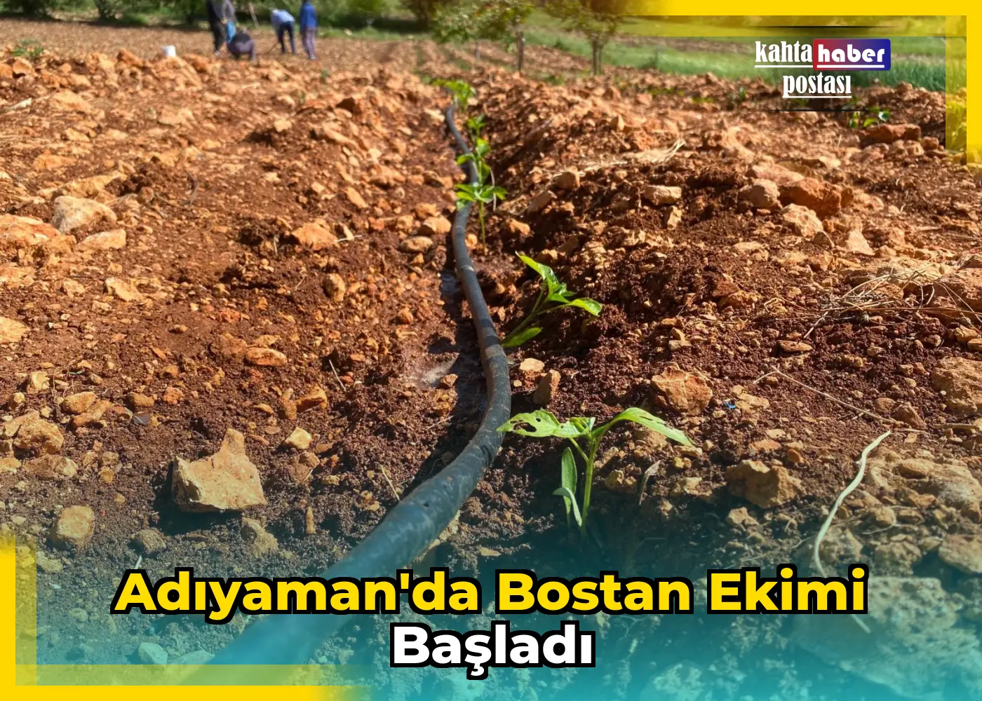 Adıyaman'da Bostan Ekimi Başladı