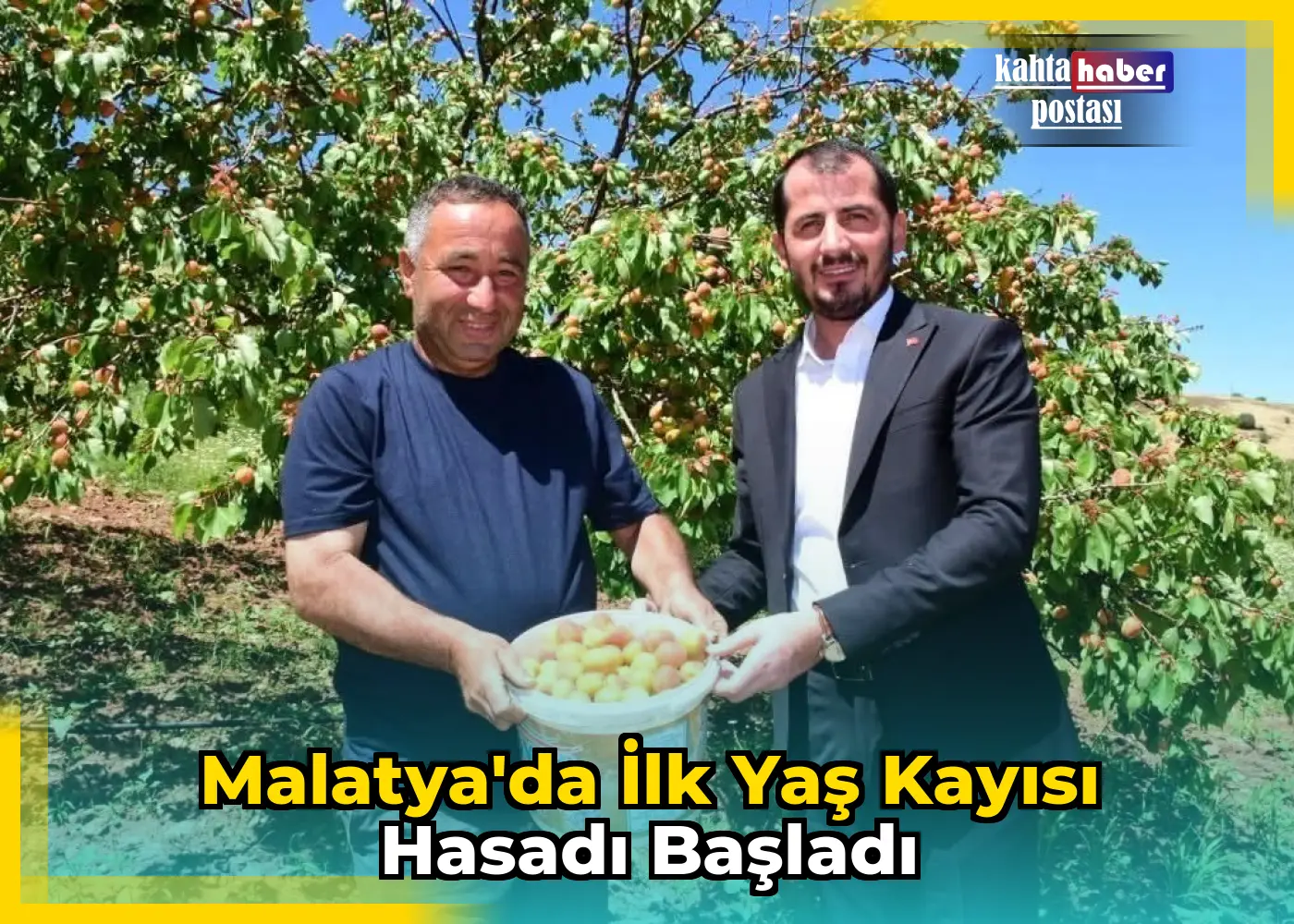 Malatya'da İlk Yaş Kayısı Hasadı Başladı