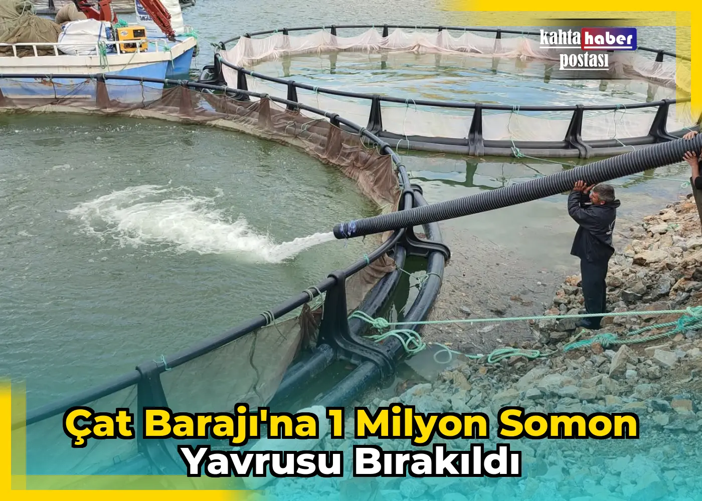 Çat Barajı'na 1 Milyon Somon Yavrusu Bırakıldı
