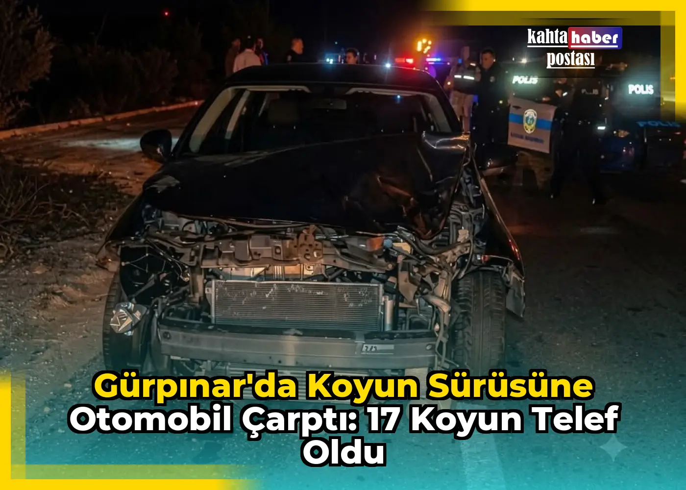 Gürpınar'da Koyun Sürüsüne Otomobil Çarptı: 17 Koyun Telef Oldu