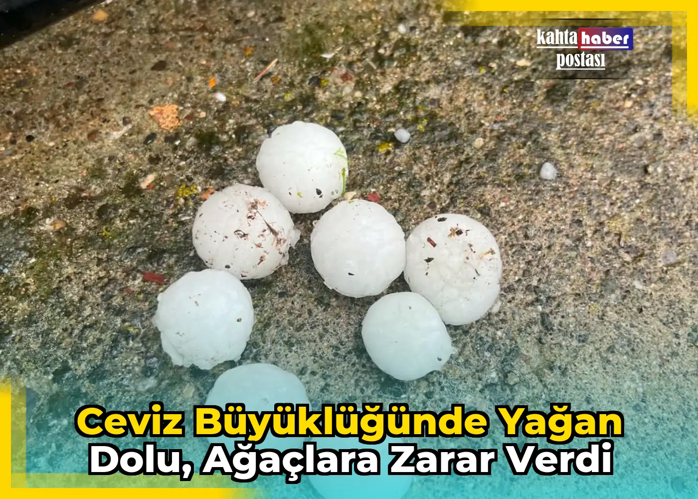 Ceviz Büyüklüğünde Yağan Dolu,  Ağaçlara Zarar Verdi