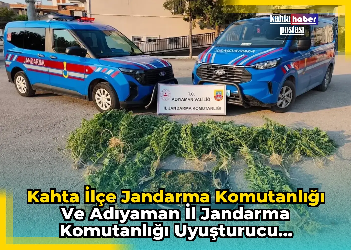 Kahta İlçe Jandarma Komutanlığı ve Adıyaman İl Jandarma Komutanlığı Uyuşturucu Operasyonu Düzenledi