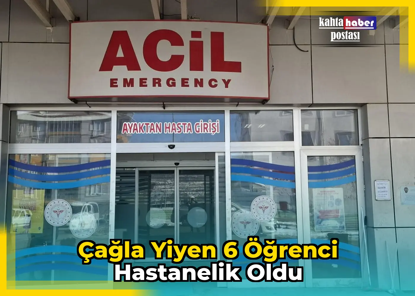 Çağla Yiyen 6 Öğrenci Hastanelik Oldu