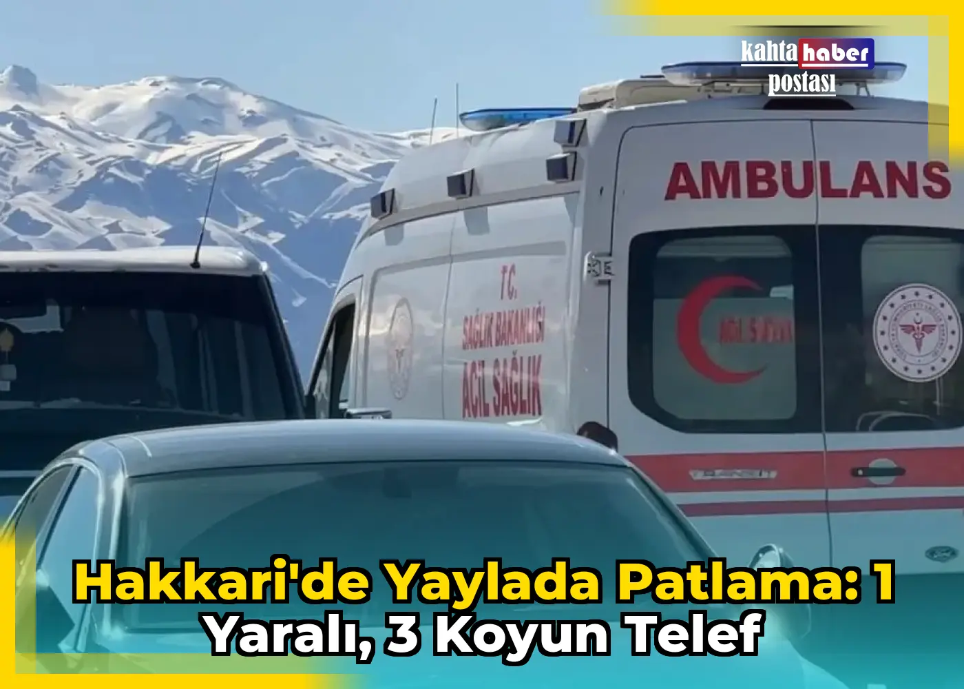 Hakkari'de Yaylada Patlama: 1 Yaralı, 3 Koyun Telef