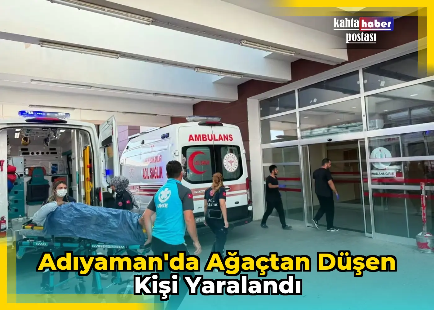 Adıyaman'da Ağaçtan Düşen Kişi Yaralandı