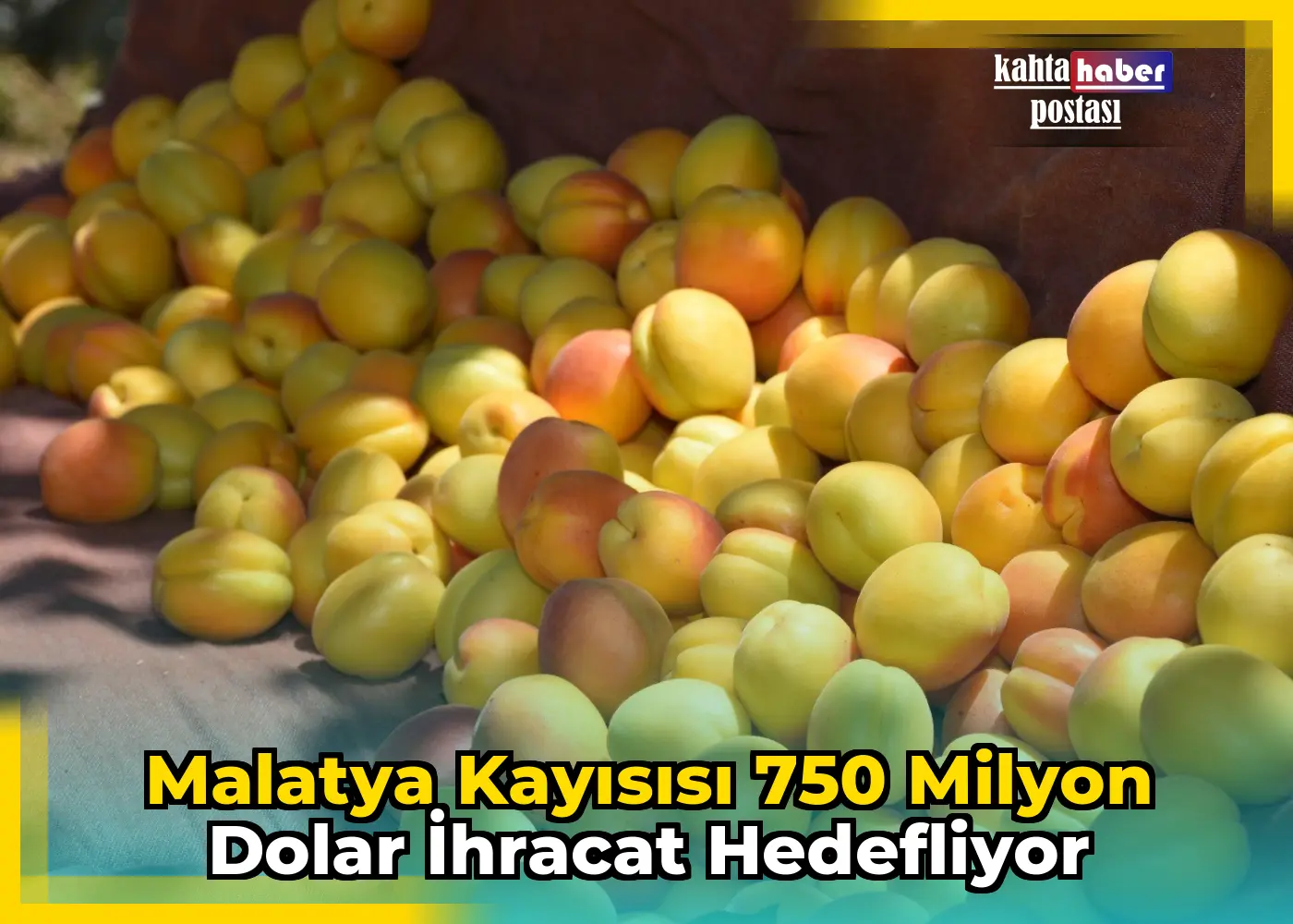 Malatya Kayısısı 750 Milyon Dolar İhracat Hedefliyor