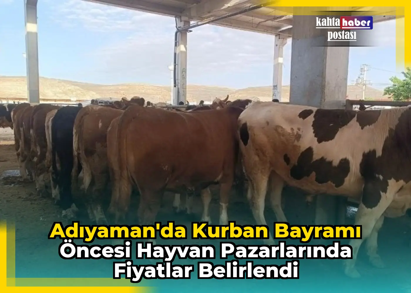 Adıyaman'da Kurban Bayramı Öncesi Hayvan Pazarlarında Fiyatlar Belirlendi