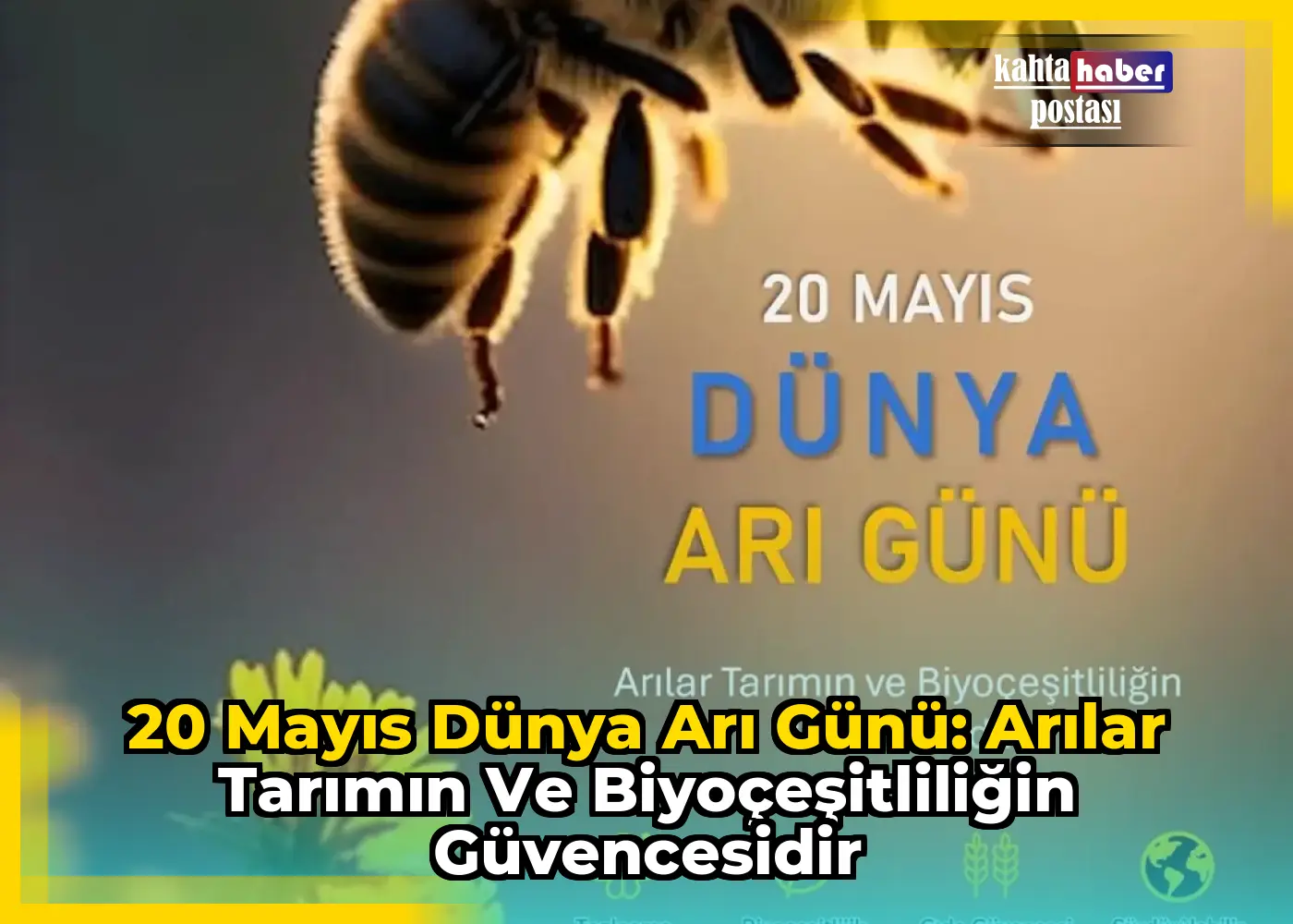 20 Mayıs Dünya Arı Günü: Arılar Tarımın ve Biyoçeşitliliğin Güvencesidir