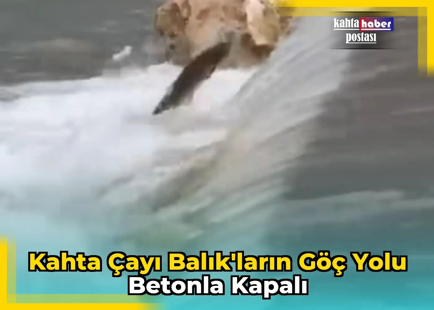 Kahta Çayı Balık'ların Göç Yolu Betonla Kapalı