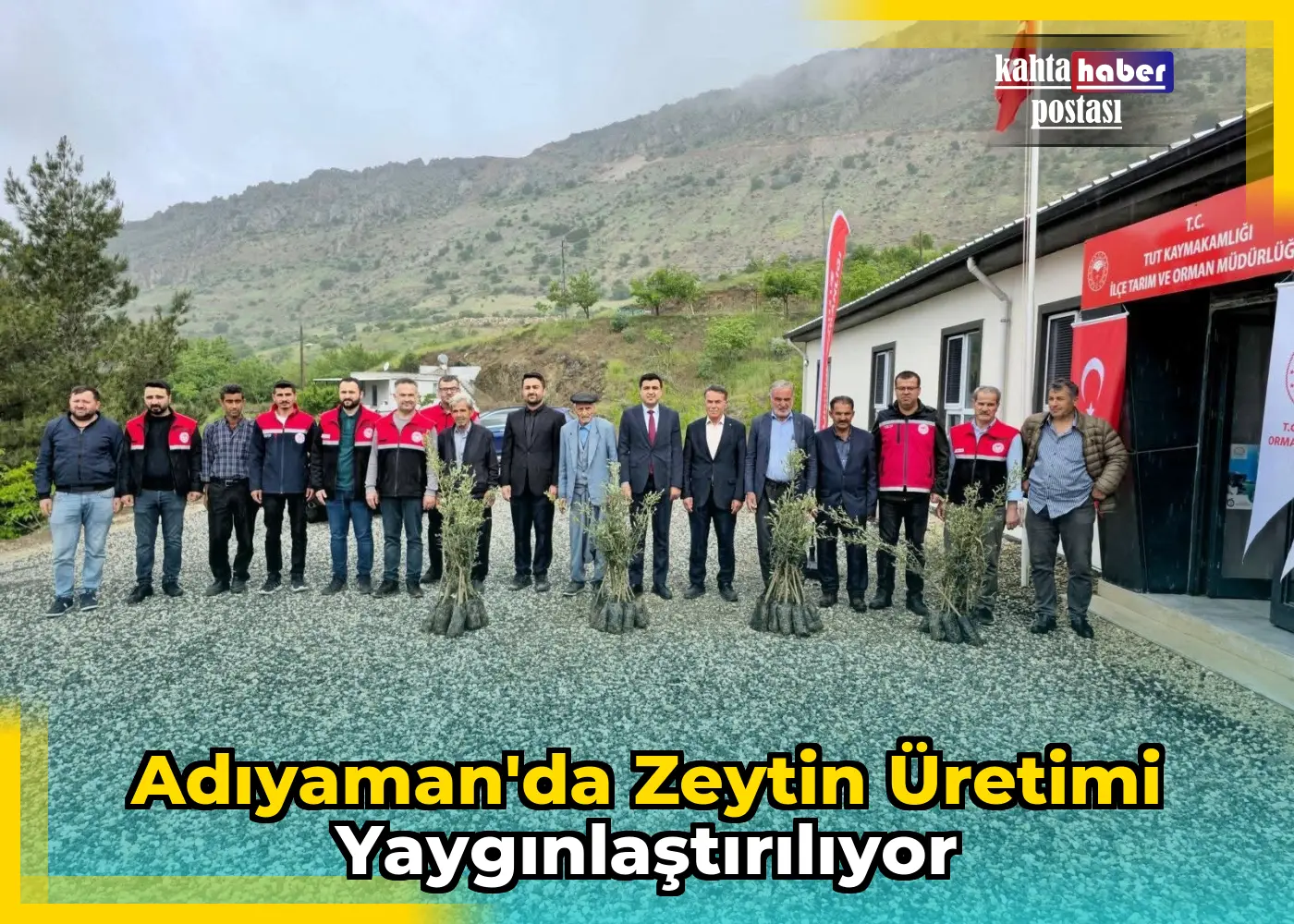 Adıyaman'da Zeytin Üretimi Yaygınlaştırılıyor