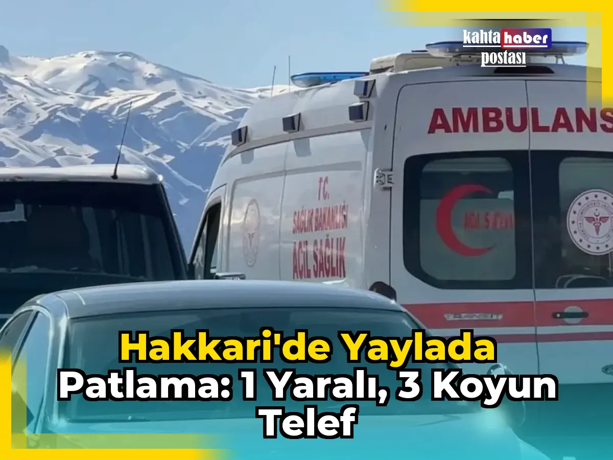 Hakkari'de Yaylada Patlama: 1 Yaralı, 3 Koyun Telef