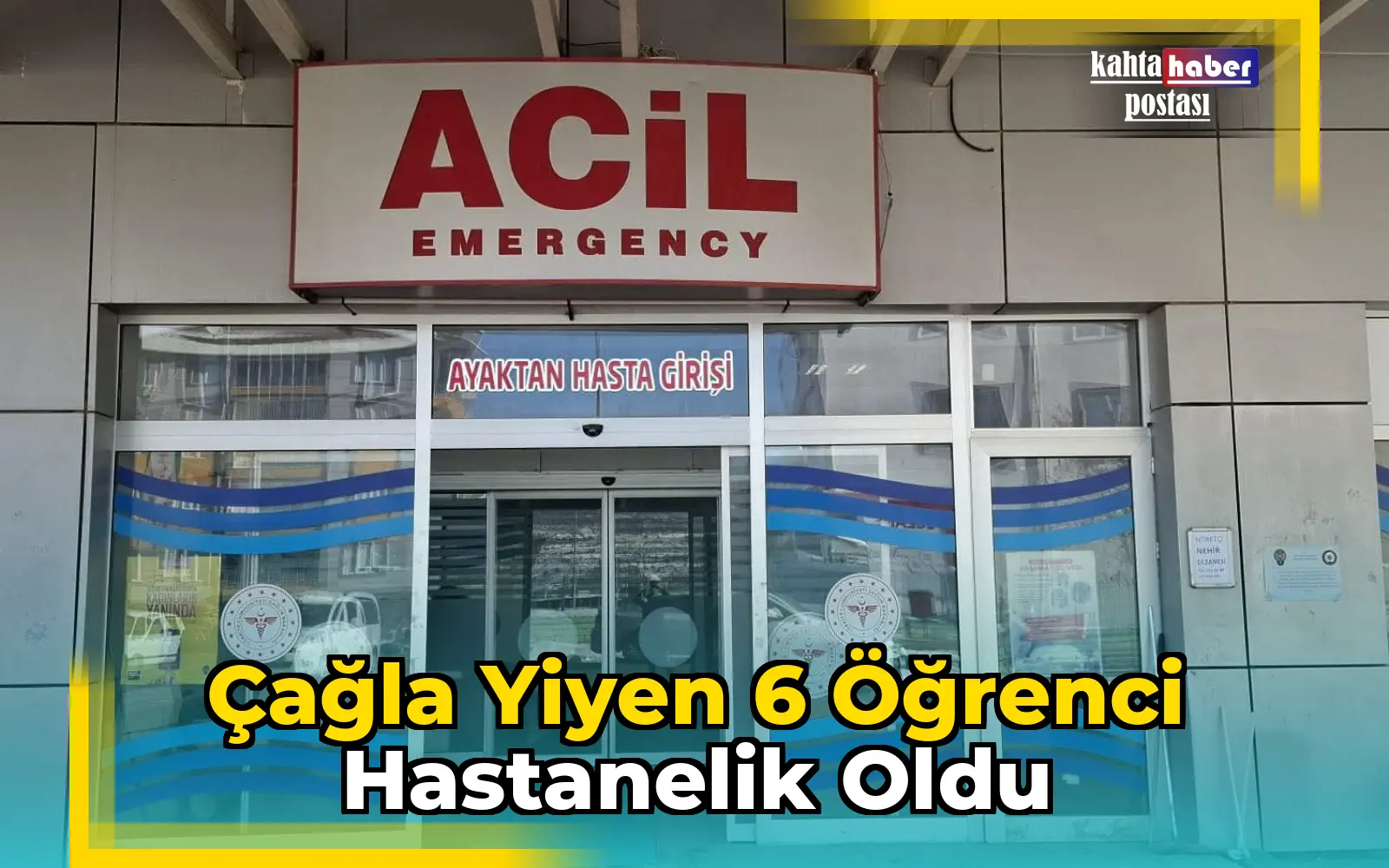 Çağla Yiyen 6 Öğrenci Hastanelik Oldu