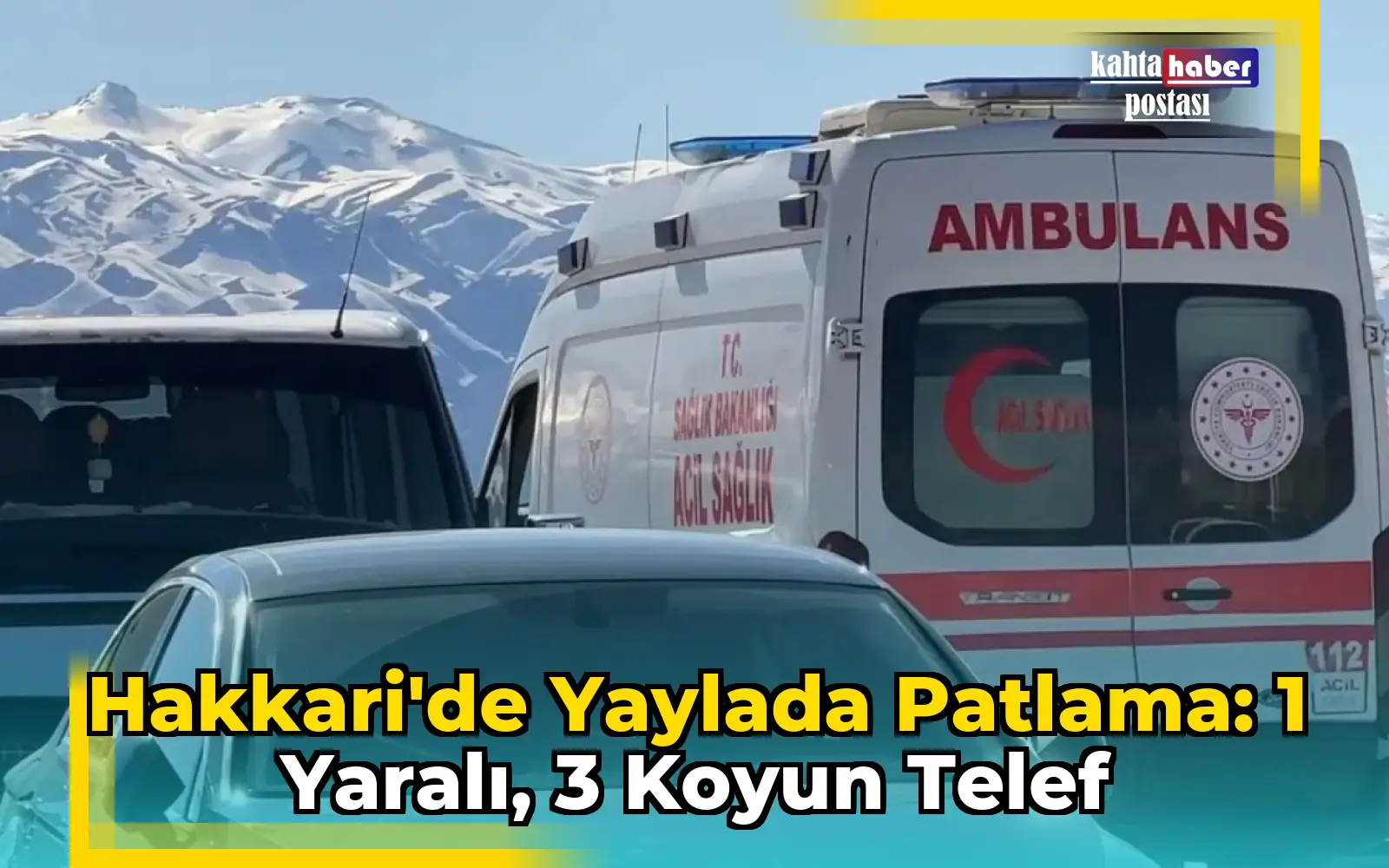Hakkari'de Yaylada Patlama: 1 Yaralı, 3 Koyun Telef