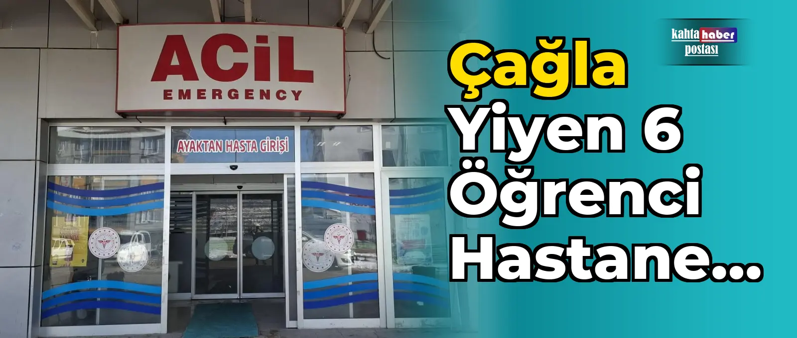 Çağla Yiyen 6 Öğrenci Hastanelik Oldu