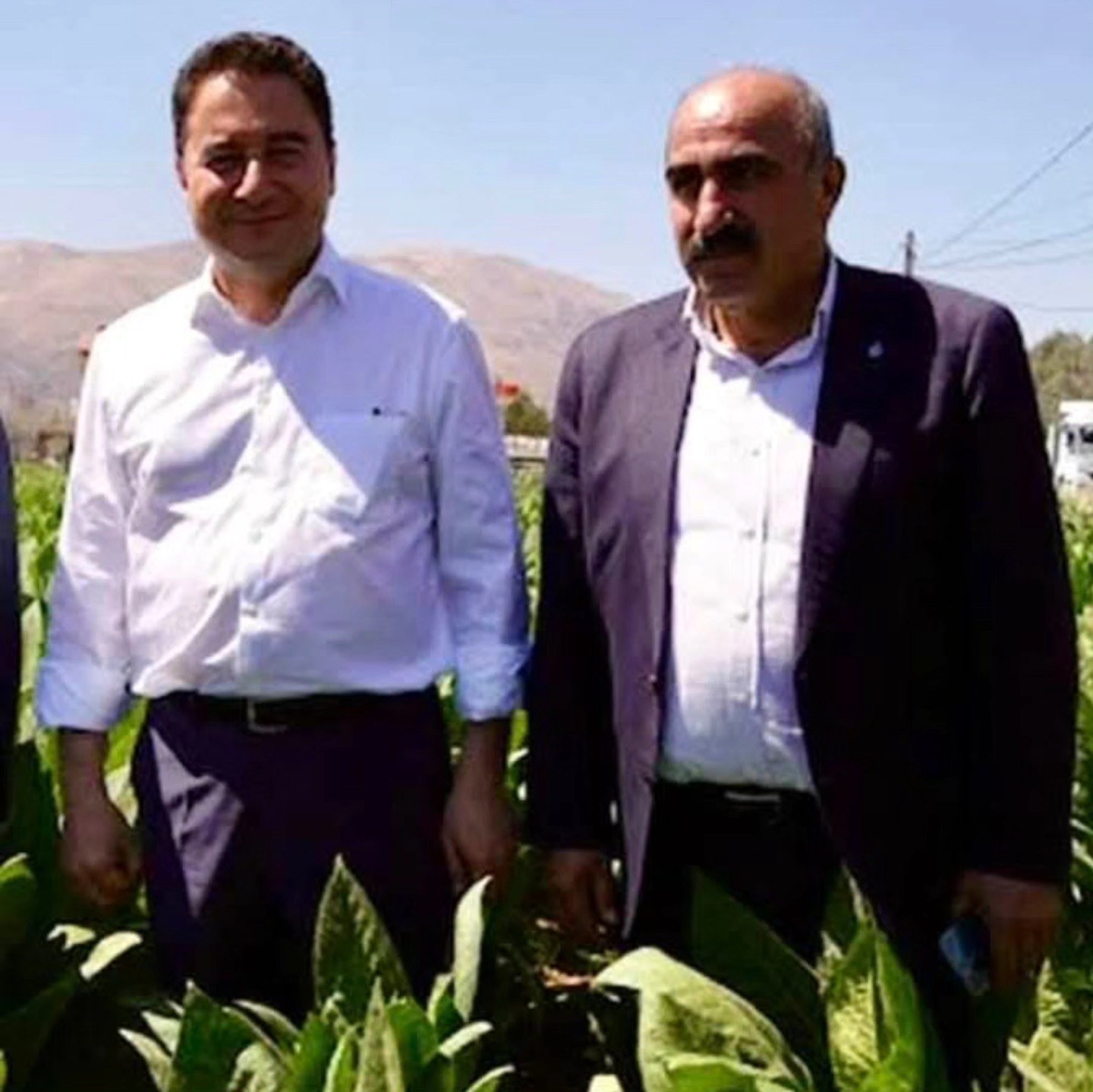DEVA Partisi'nden Adıyaman Tütünü  Alım Fiyatlarına Tepki