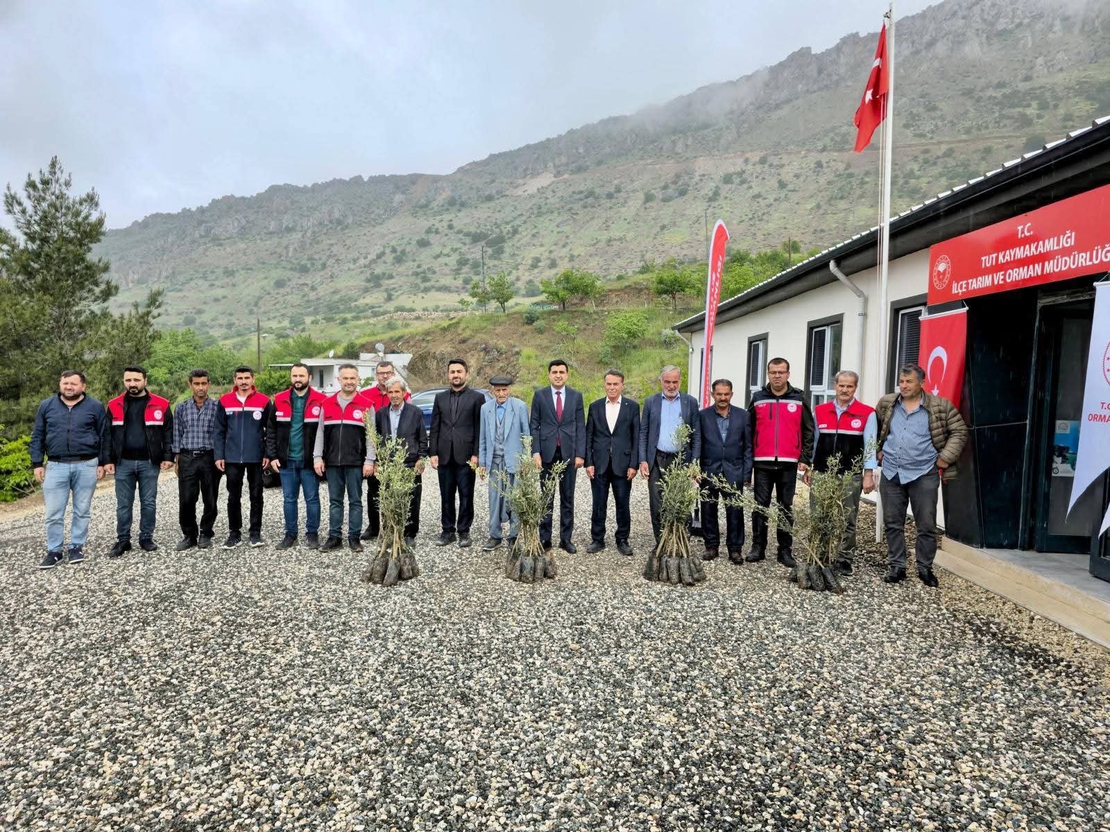 Adıyaman'da Zeytin Üretimi Yaygınlaştırılıyor