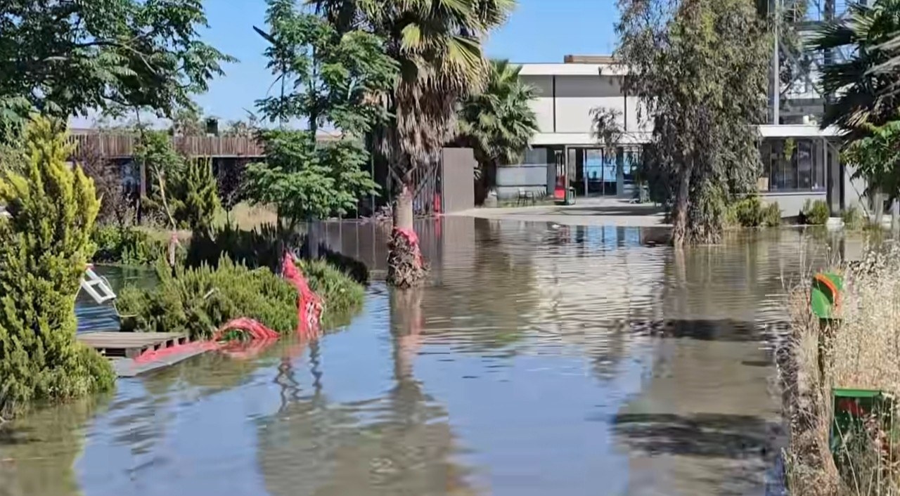 Kahta'da Baraj Suları Saray Burnu Tesislerini Bastı