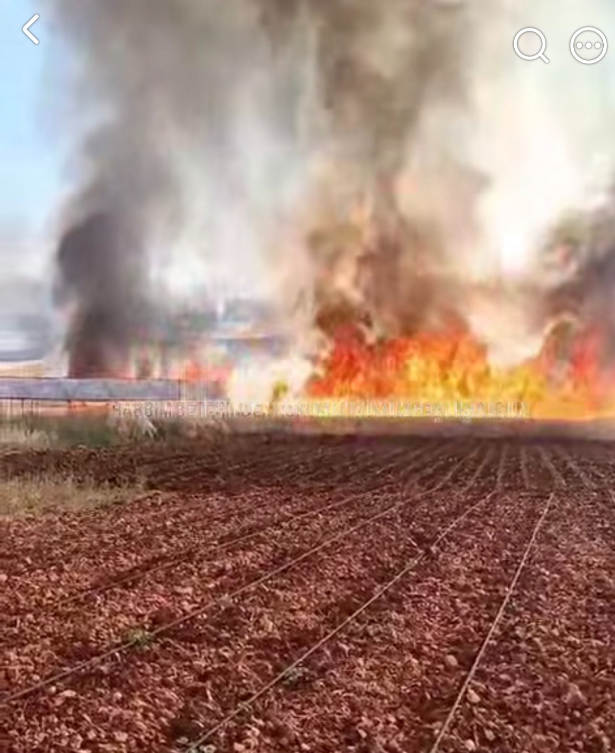 Adıyaman Çemberlitaş Köyü Civarında Buğday Tarlasında Yangın Çıktı