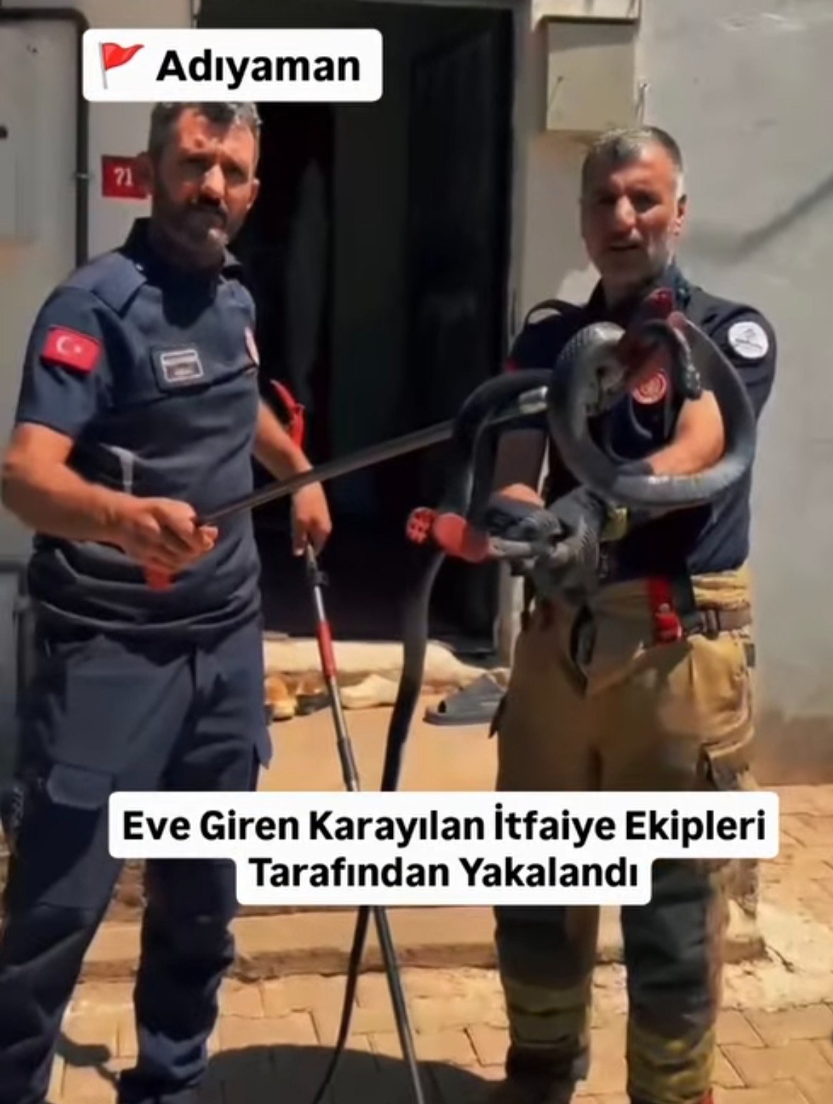 Adıyaman'da Eve Giren Karayılan İtfaiye Ekipleri Tarafından Doğaya Bırakıldı