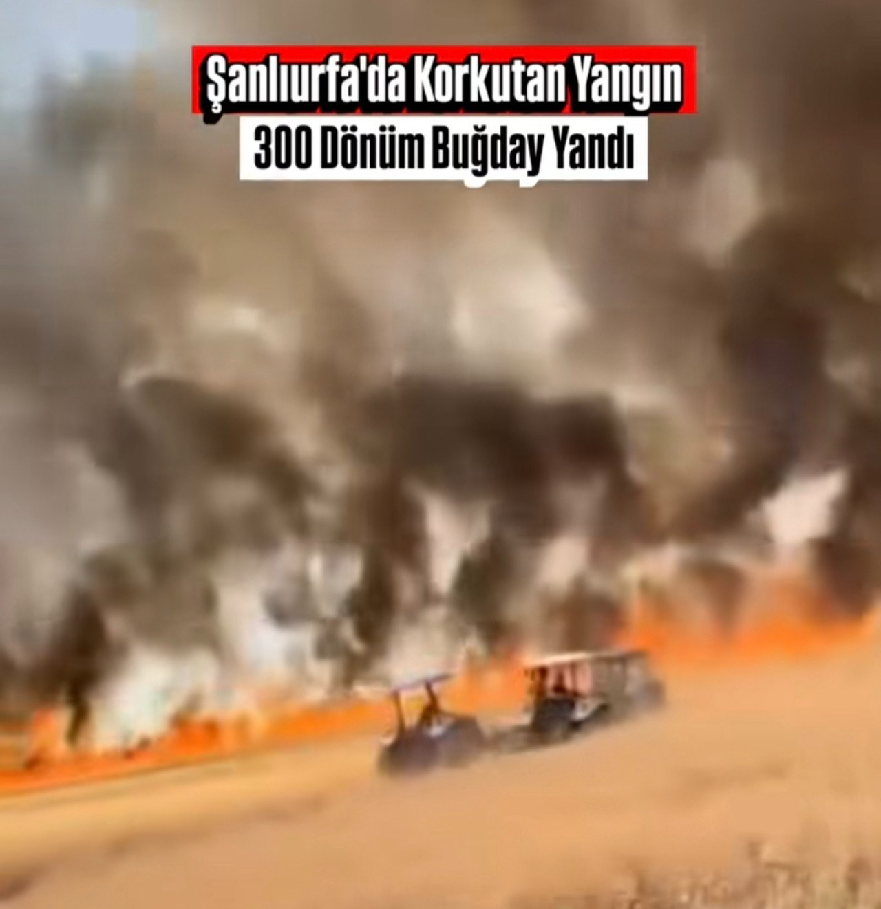 Şanlıurfa Haliliye'de 300 Dönüm Buğday Tarlası Yandı