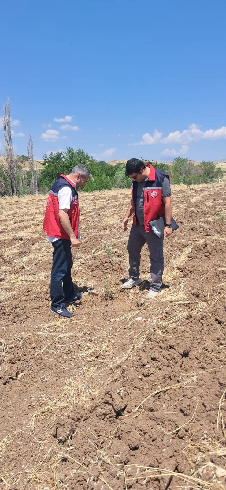Salkımbağı Köyü'nde Vasıf Değişikliği Çalışmaları Devam Ediyor