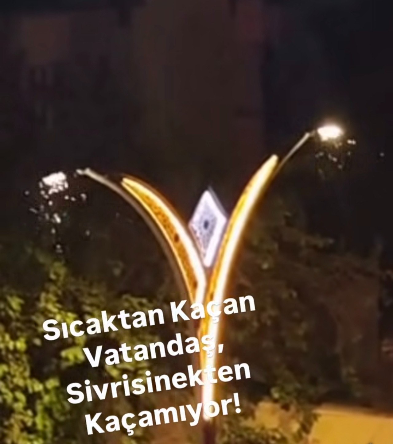 Adıyaman'da Sıcak Hava ve Sivrisinek Çilesi