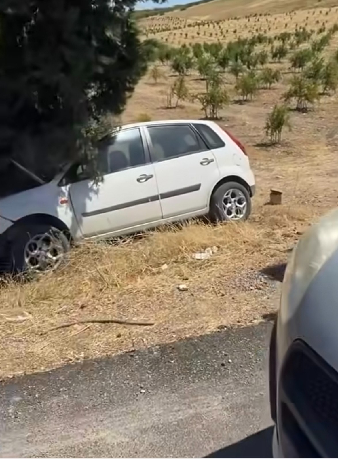 Adıyaman Havalimanı Yakınında Maddi Hasarlı Trafik Kazası
