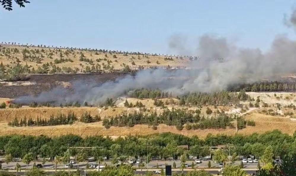 Şanlıurfa Karaköprü'de Ormanlık Alanda Yangın Çıktı