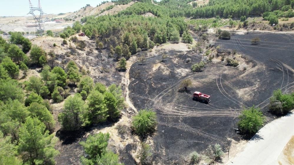 Adıyaman Ali Dağı'nda Çıkan Orman Yangını Çok Sayıda Ağacı Kül Etti