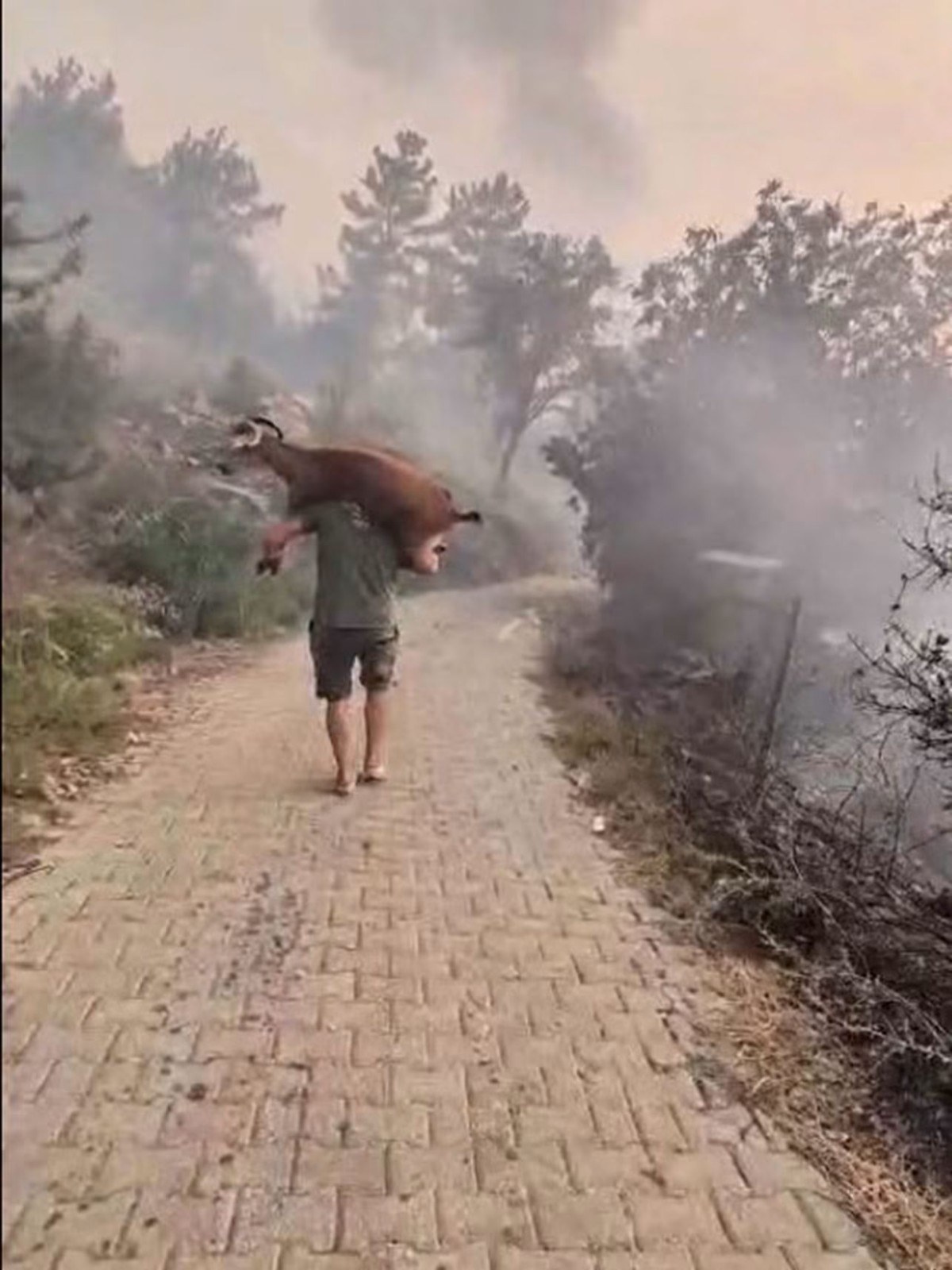 Seydikemer Orman Yangınında Can Pazarı Yaşandı