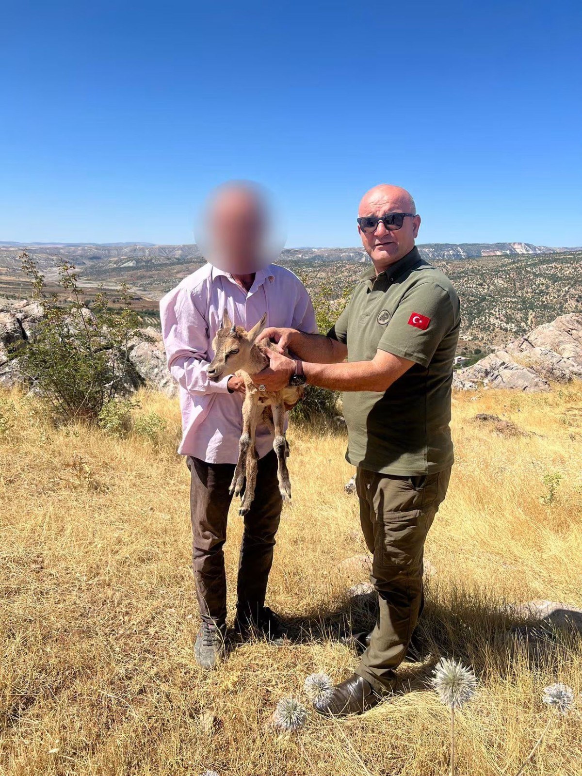 Adıyaman'da Yaralı Yaban Hayvanları Koruma Altına Alındı