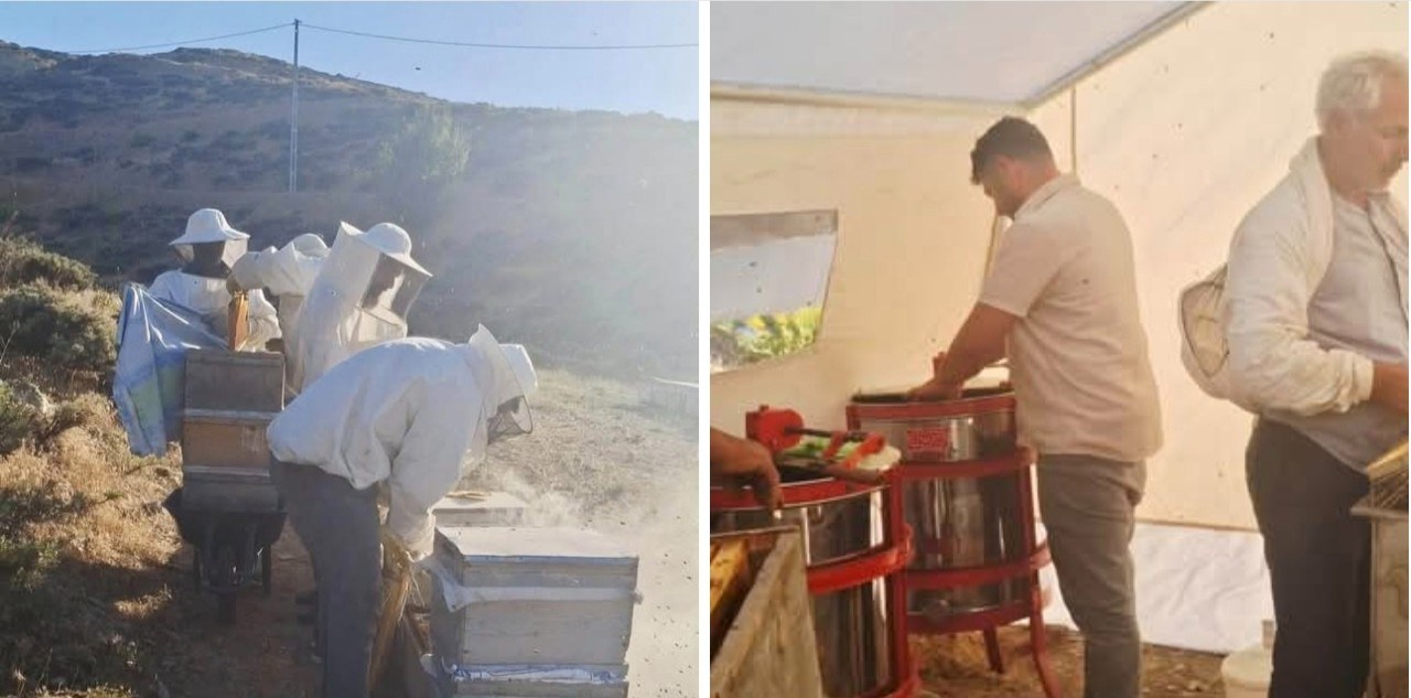 Adıyaman Sincik İlçesinde Bal Hasadı Başladı
