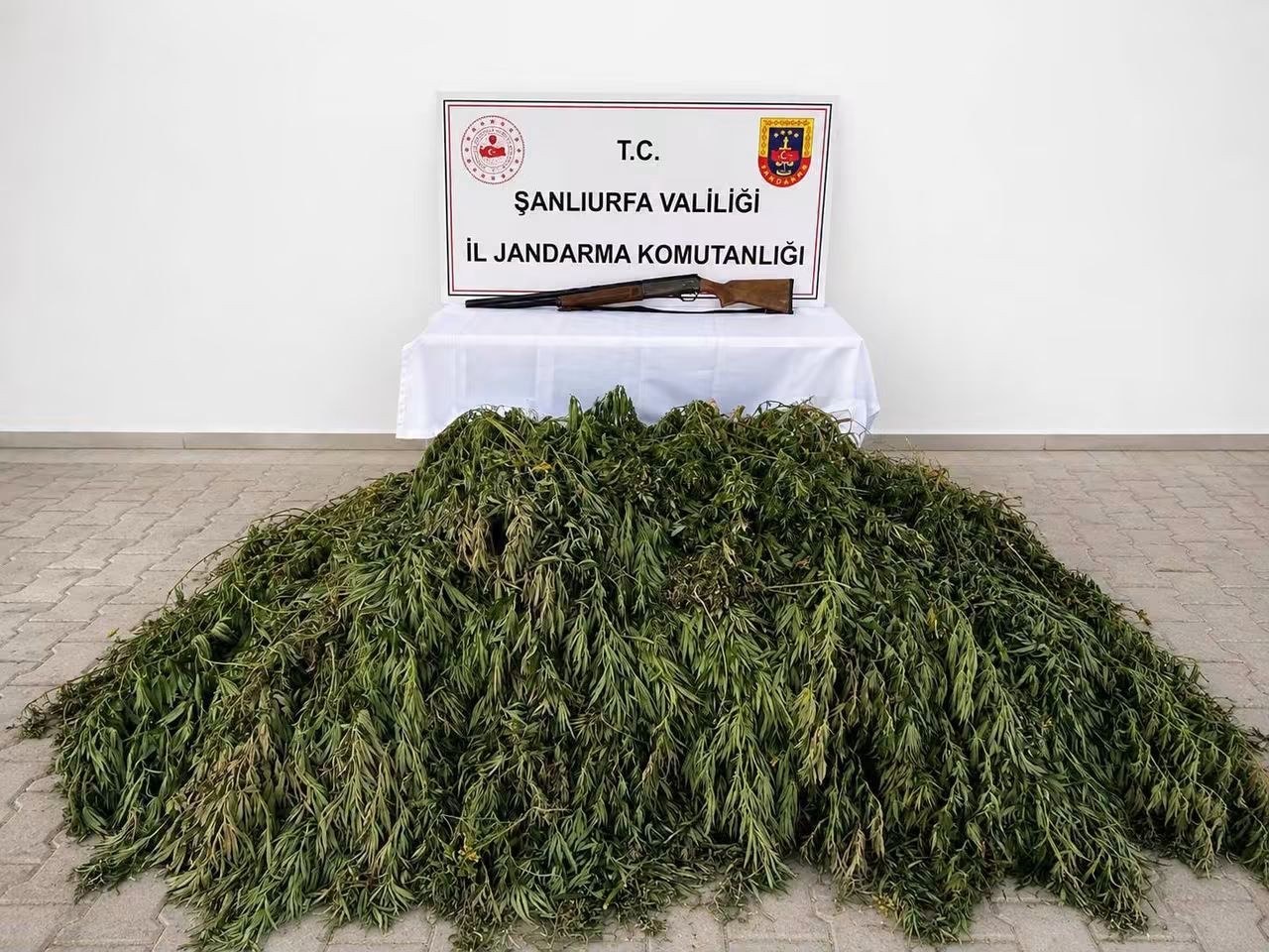 Şanlıurfa'da Jandarma Operasyonunda Kenevir Ele Geçirildi