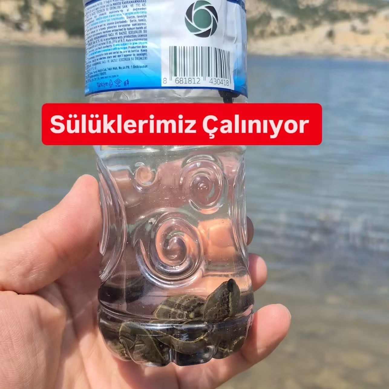 Gerger Sülüklü Göl'de Sülük Hırsızlığı Yaşanıyor