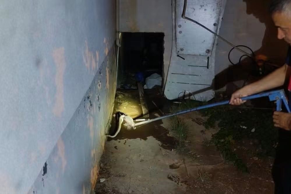 Besni'de Evin Deposunda Yılan Paniği