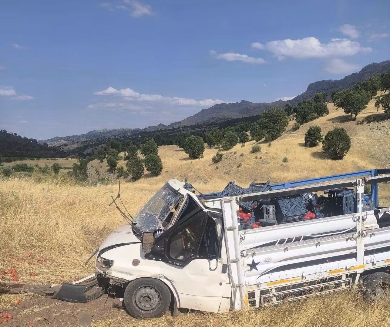 Kahta-Gerger Karayolunda Sebze Yüklü Pikap Devrildi