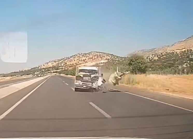 Kahta-Narince Yolunda Kamyonetin Eşeğe Çarpması Sonucu Maddi Hasar Oluştu