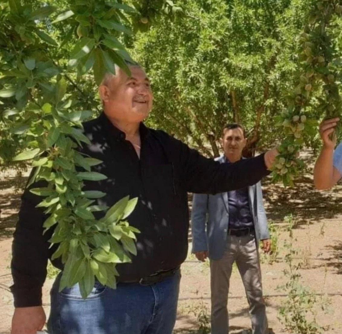 Kahta'da 5 Bin Dönüm Badem Bahçesi Söküldü