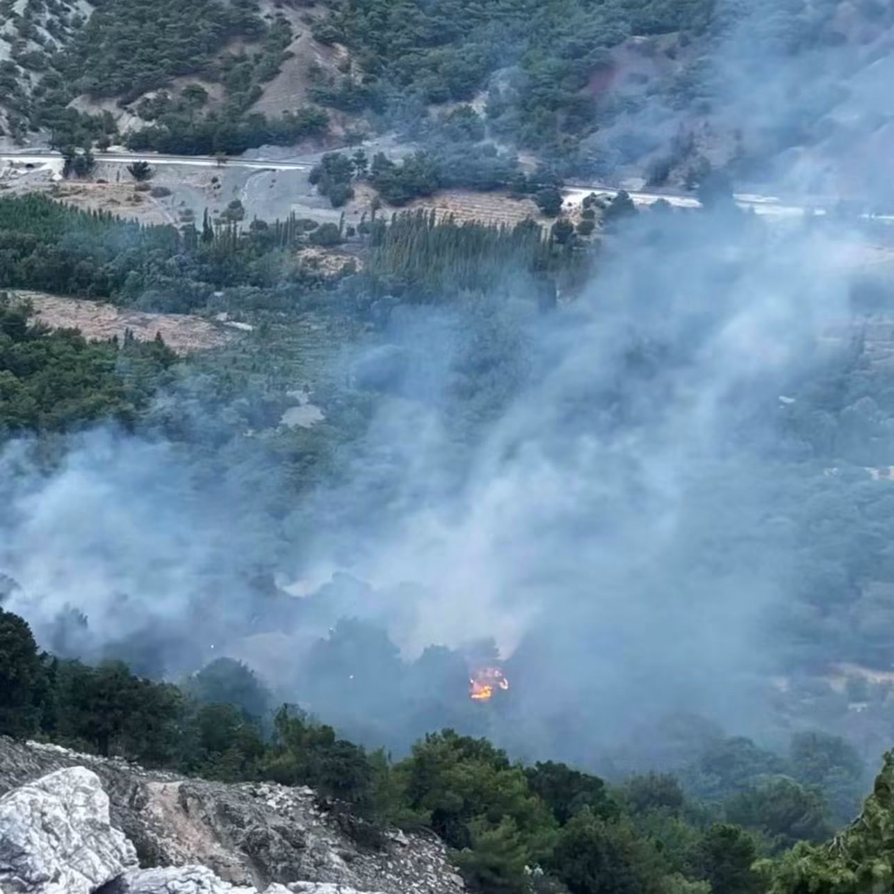 Adıyaman Gölbaşı'nda Yıldırım Orman Yangını Çıkardı