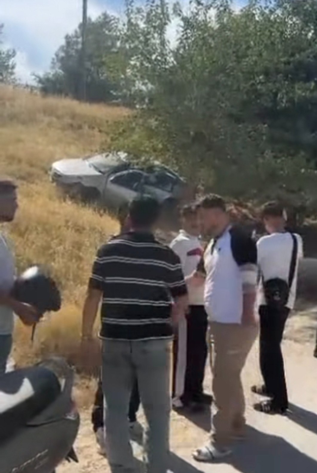 Adıyaman'da Otomobil Otluk Alana Girdi